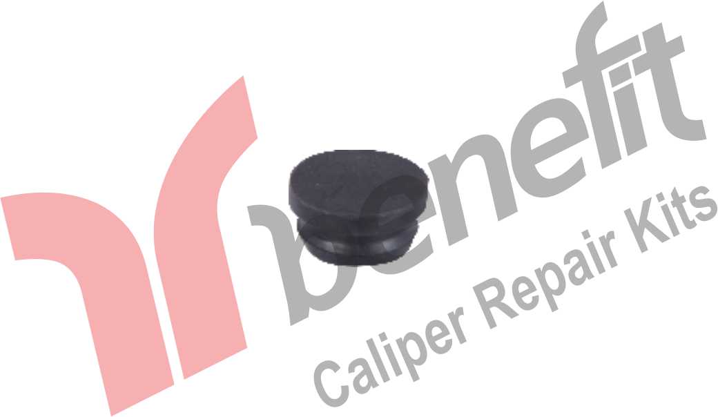 Caliper Plug