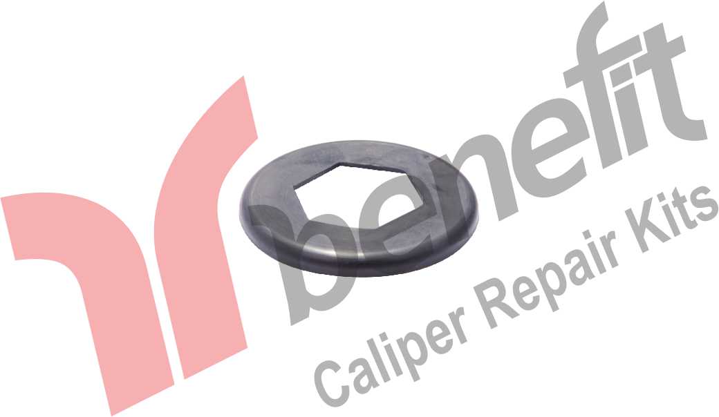 Caliper Shaft Seal