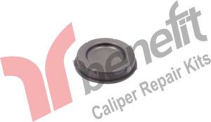Caliper Caps