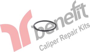 Caliper Seal