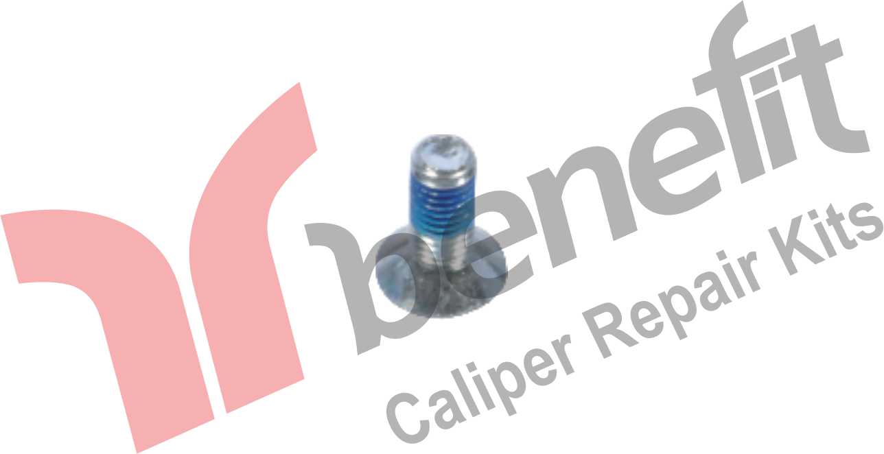 Kaliper Vidası M12x1,75x20mm
