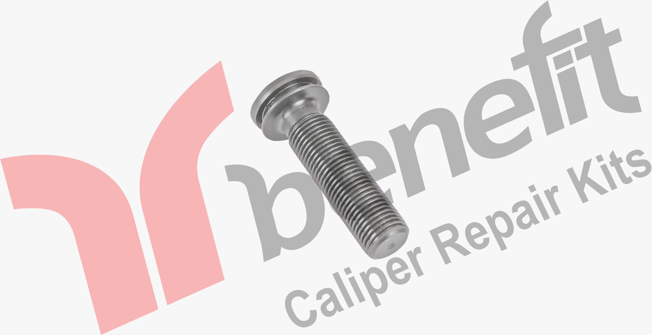 Caliper Bolt -R-