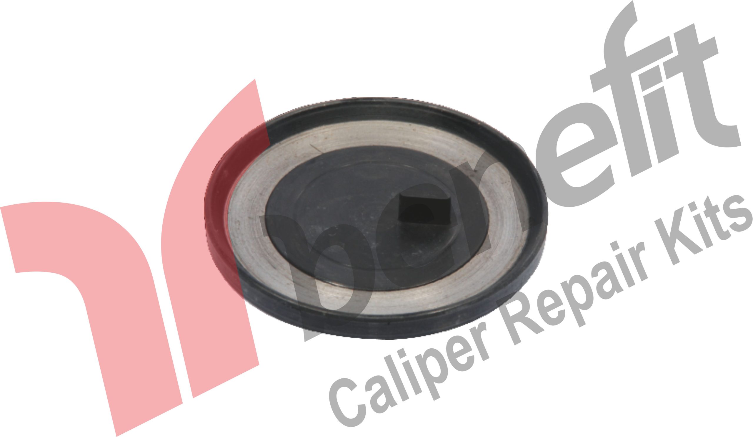 Caliper Seal