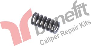 Caliper Spring