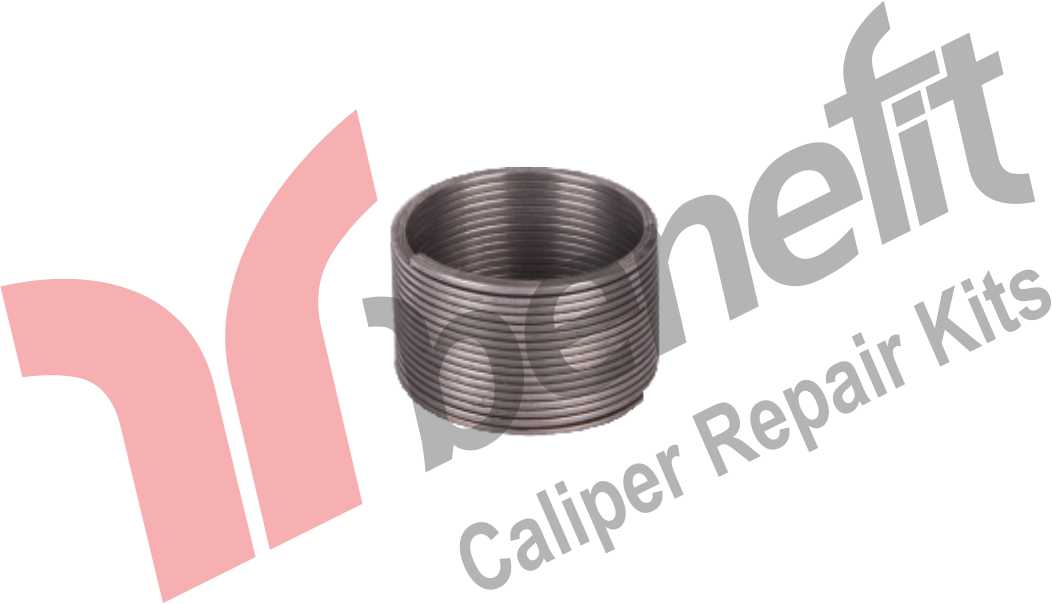 Caliper Spring