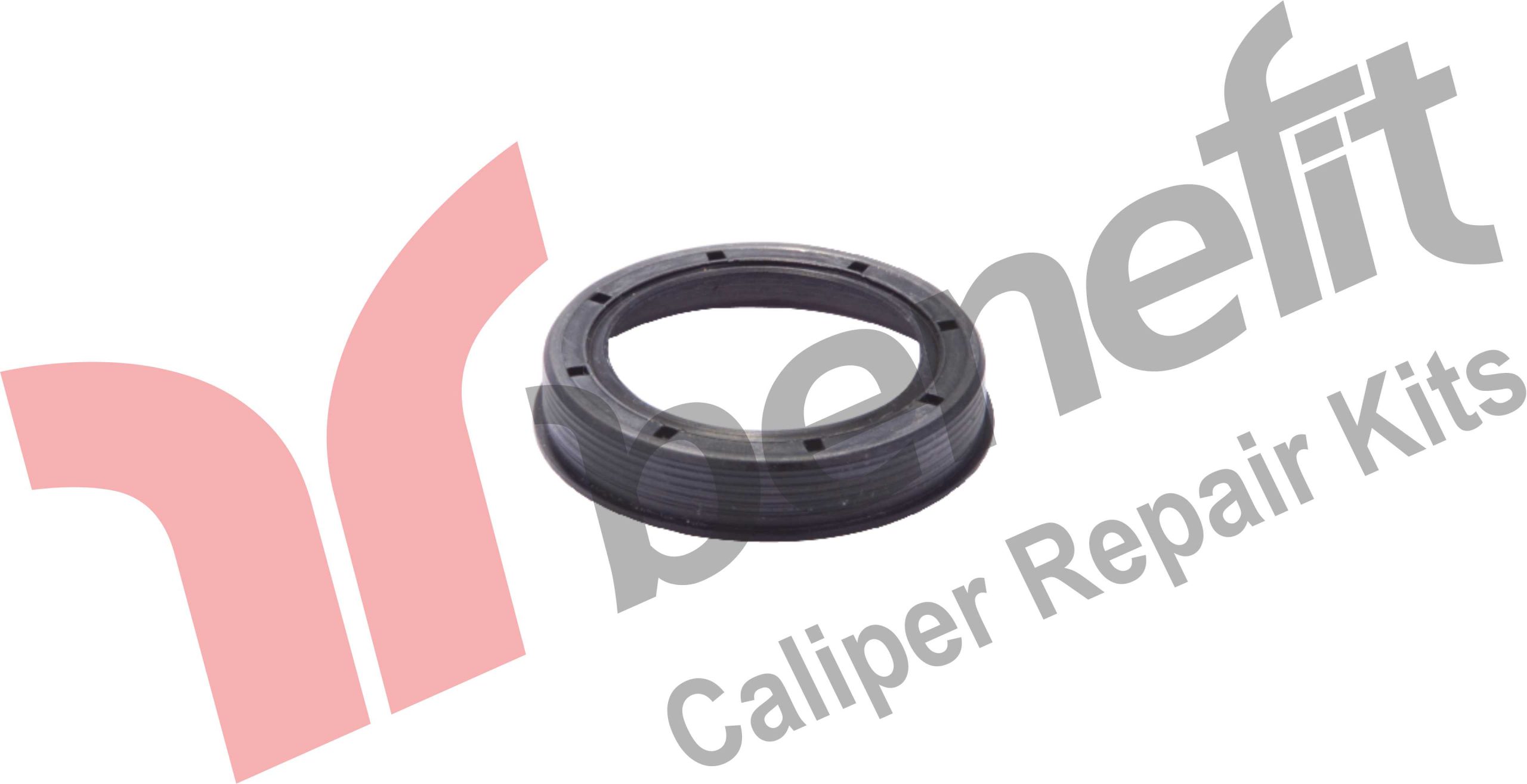 Caliper Seal