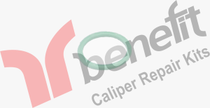 Caliper Seal