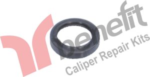 KALİPER KEÇESİ