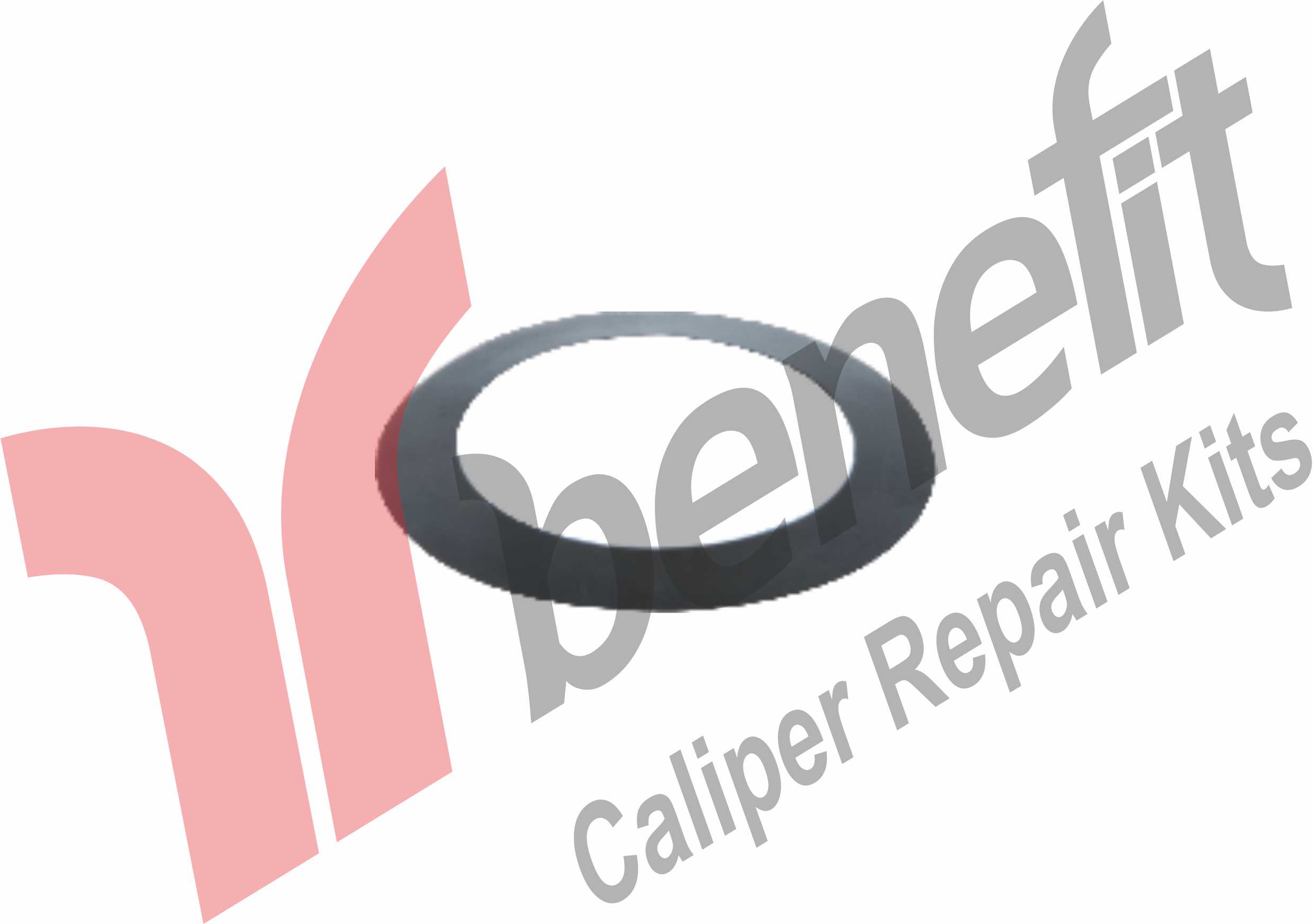 Caliper Washer