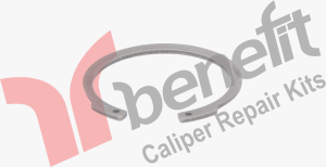 Kaliper Segmanı