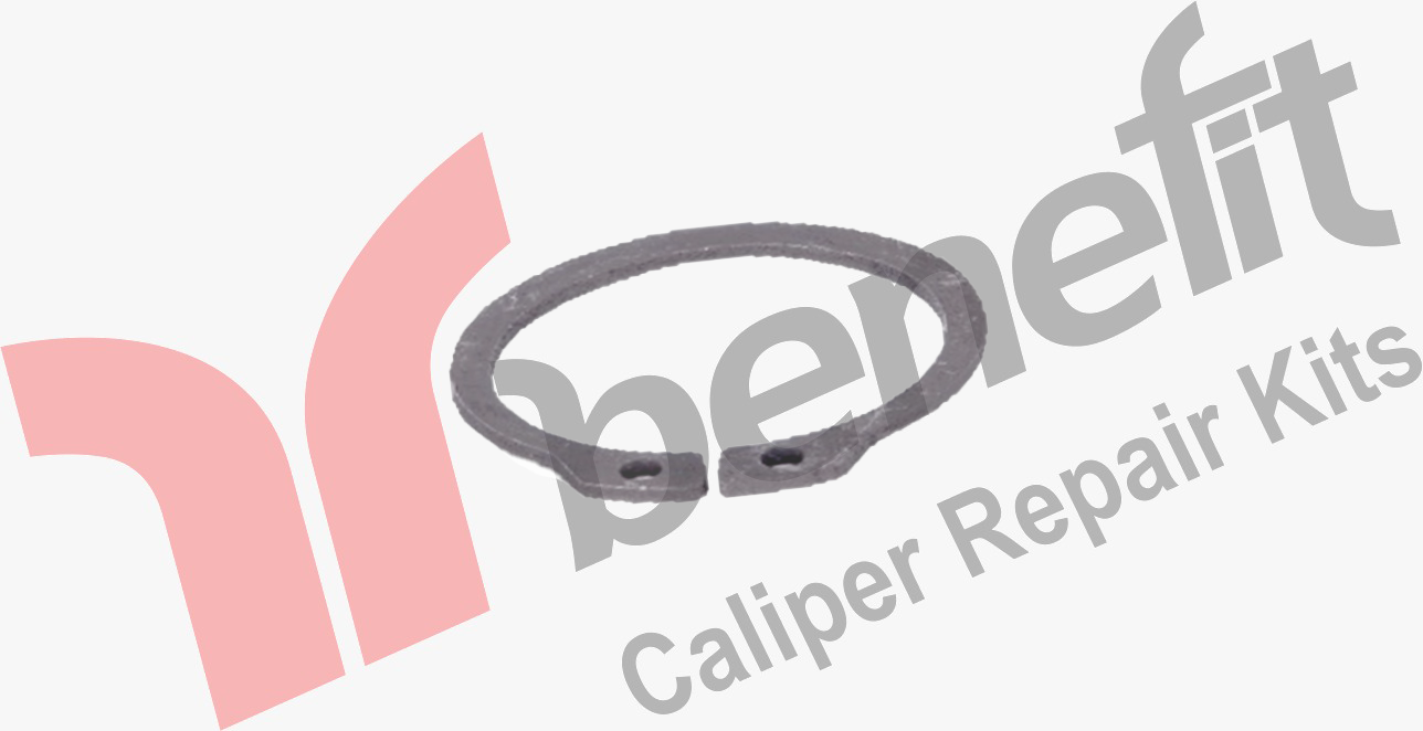 Kaliper Segmanı