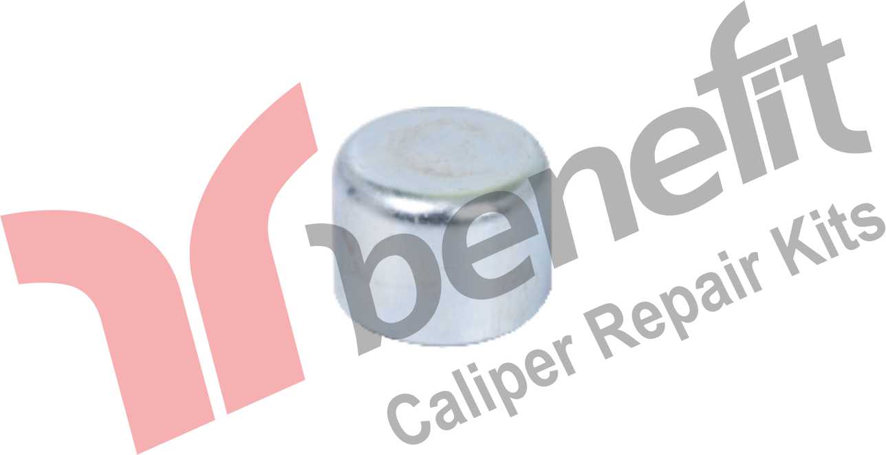 Caliper Cap 42x31 mm