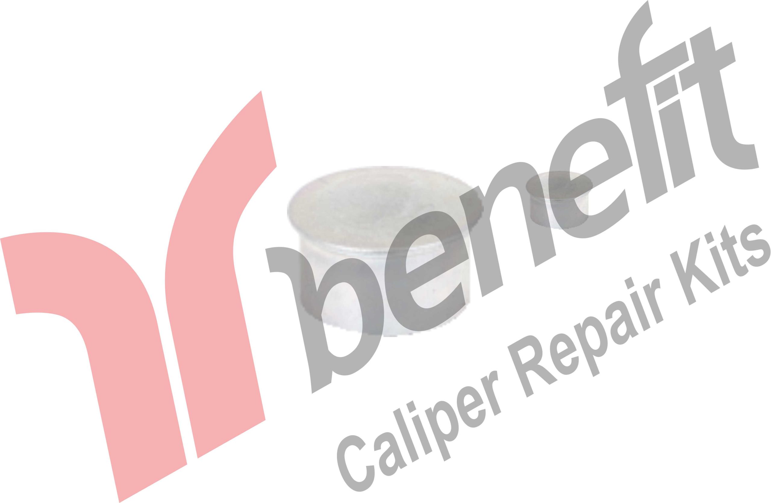 Caliper Cap 22x12mm