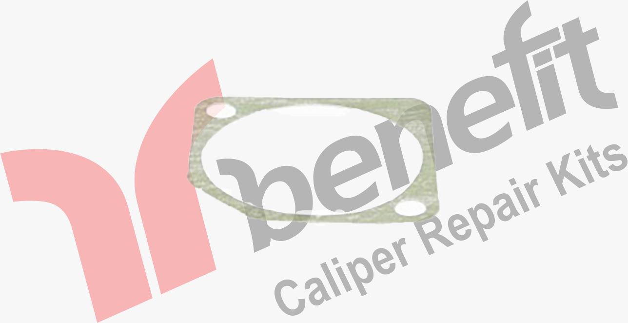 Caliper Gasket