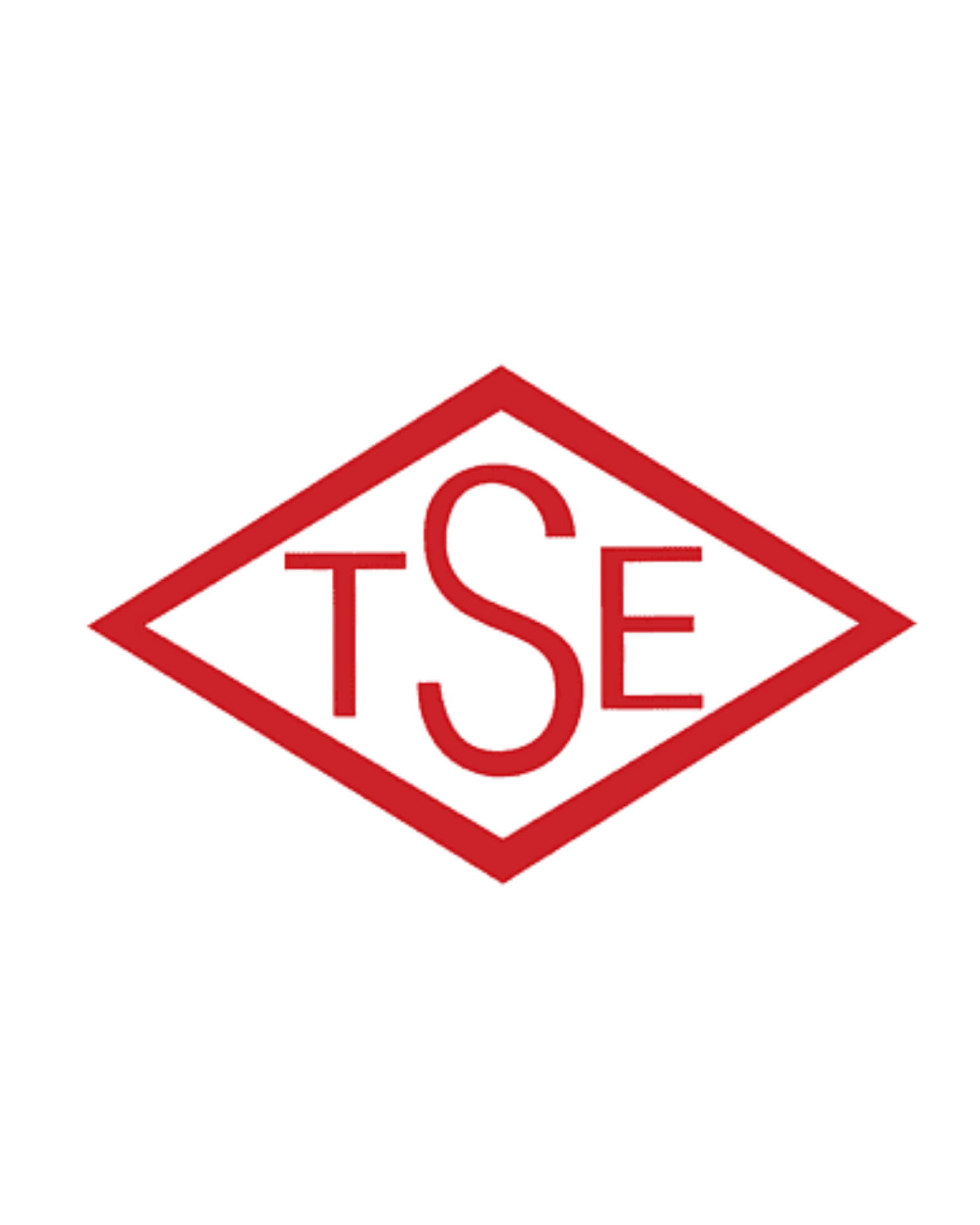 TSE Logo