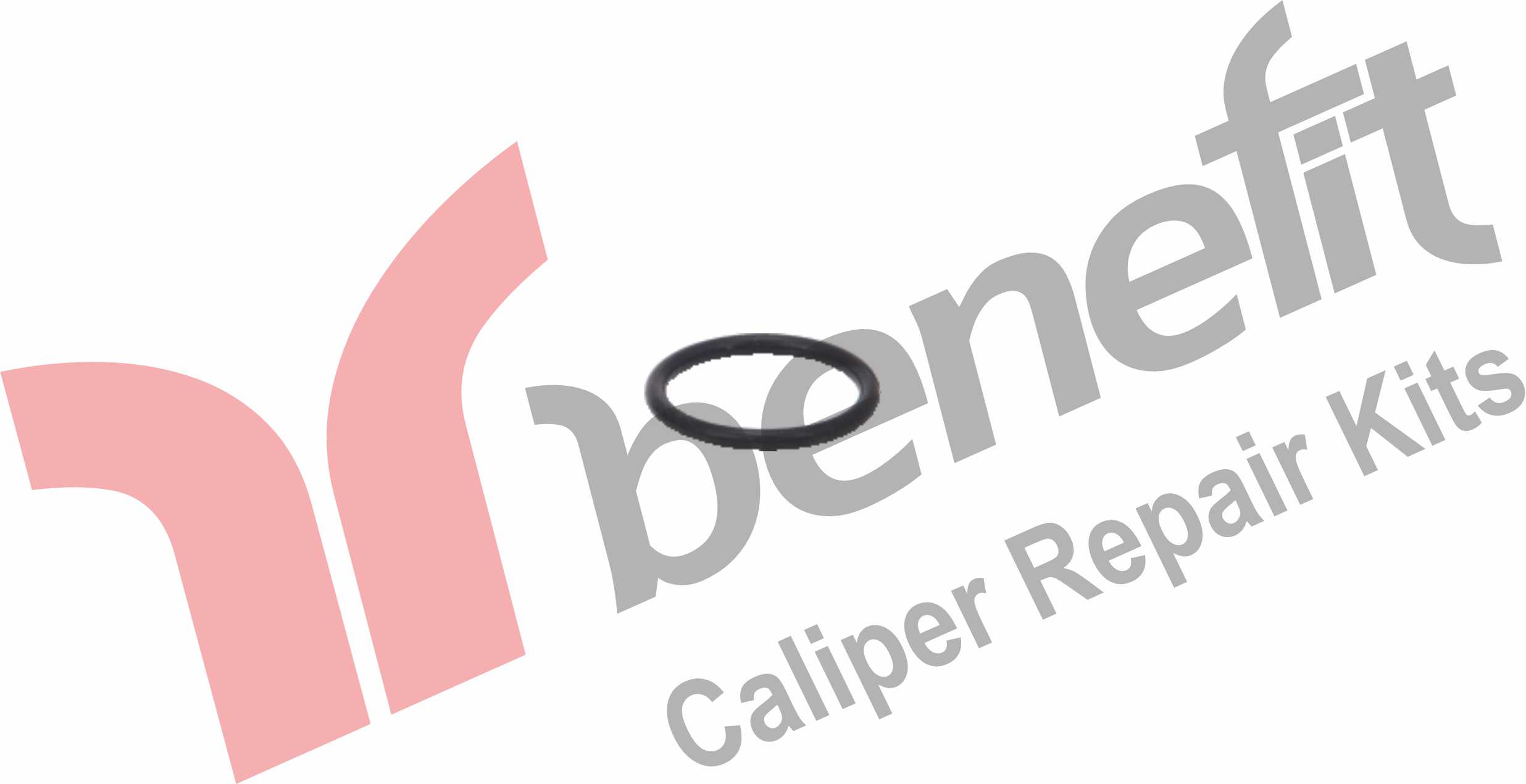 Brembo Kaliper Oringi